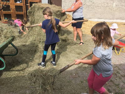 Bild 3 aus  Pension-Landhaus "Zum Ross"