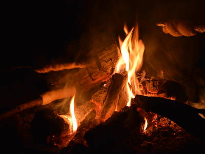 Bild 14 aus  Sternenhof