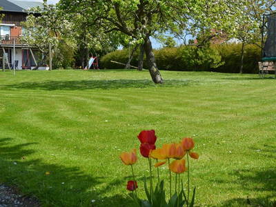 Grüne Erlebniswiese auf dem Ferienhof Kluvetasch