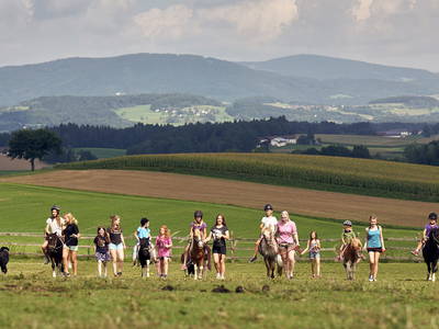 Bild 30 aus  Ponyferienhof