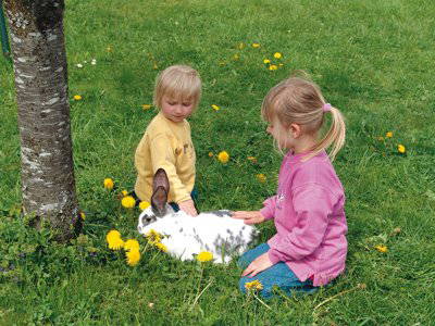 Streicheleinheiten lieben unsere Streicheltiere