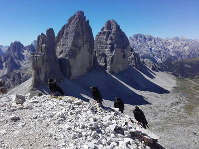 Bild 22 aus  Untersieglerhof