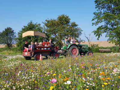 Bild 40 aus  Ferienhof Presener Deichkrone