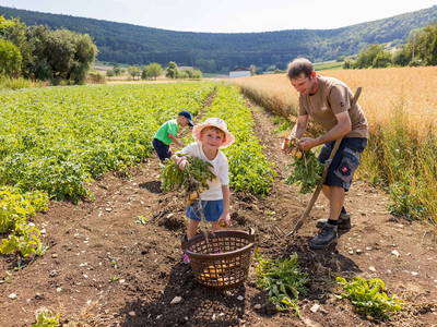 Bild 4 aus  An Webers Stoag