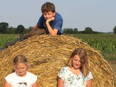 Bild 32 aus  Nordlichter