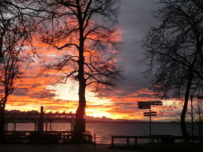 Bild 22 aus  Beim Paulfischer direkt am Chiemseeufer