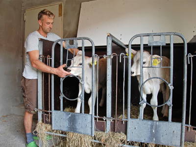 Bild 8 aus  Weber´s Ferienhof