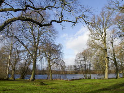 Februar am Langensee