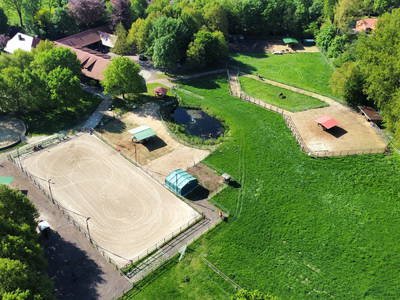 Bild 9 aus  Ferienhaus / Chalet auf dem Gestüt Lohhof mit Kinderreiten oder Pony Reiten