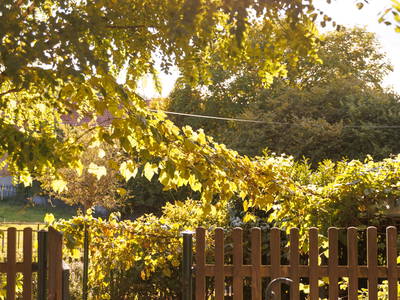 Bild 14 aus  Der Wassermannshof