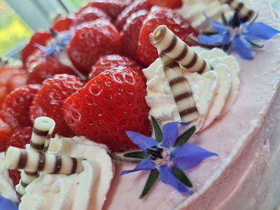 Bild 32 aus  Edlgütl Dein Hideaway