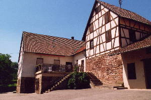 Weingut und Gestüt Scheuelberghof aus Maulbronn