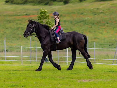 Bild 16 aus  Landkulturhof Glücksbringer