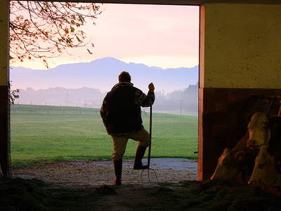 Bild 7 aus  Marksteinhof