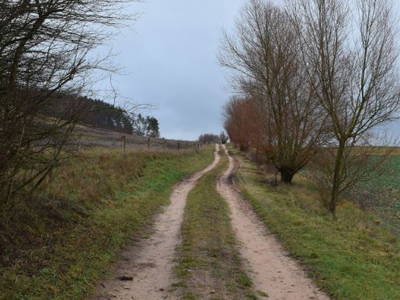 Bild 7 aus  Der Schafstall