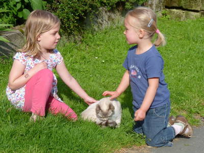 Bild 21 aus  Ferienhof Lochau