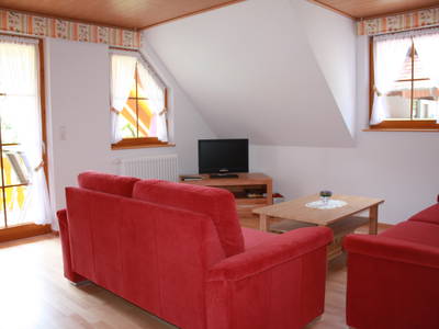 Bild 7 aus  Peterhof