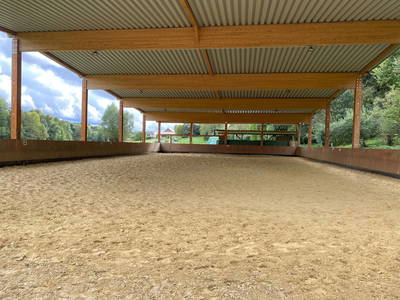 Bild 4 aus  Ferienwohnung Pferdezucht Bickenalb