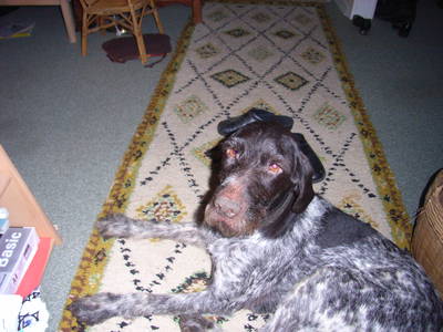 Bild 21 aus  Vejstrupgaard