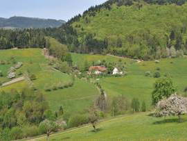 Bild 9 aus  Suschethof