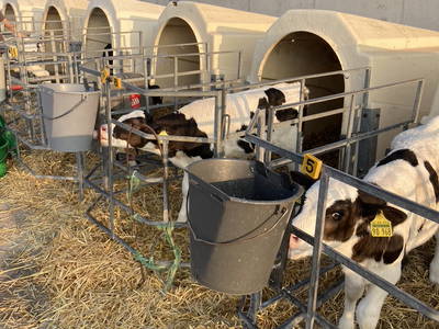 Bild 20 aus  Ferienhof Rickerts