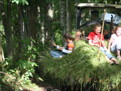 Bild 10 aus  Bucherhof