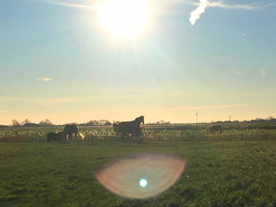 Bild 11 aus  Küstenhof Oldewurtel