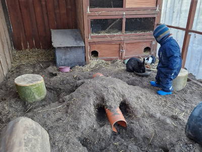 Bild 53 aus  Küstenhof Oldewurtel