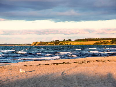 Bild 19 aus  LandSelection Gut Gaarz