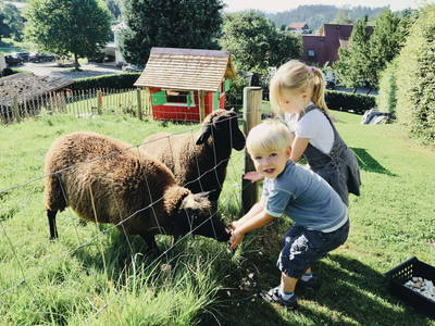 Bild 18 aus  Ferienhof König