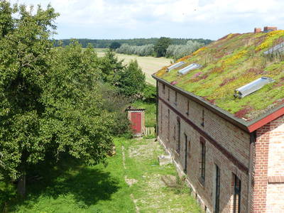 Bild 9 aus  Grenzer Ökohof