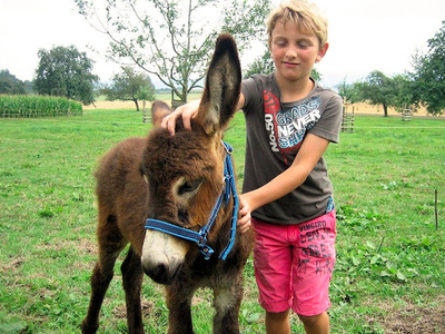 Bild 13 aus  Ferienhof Siber