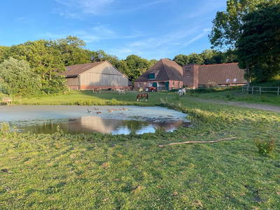 Bild 6 aus  Gut Godderstorf