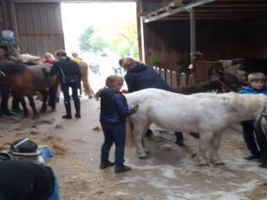 Bild 21 aus  Ferienhof Schnoor