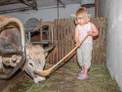 Bild 29 aus  Wieserhof