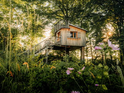 Bild 17 aus  Ferienhof und Baumhaushotel Allgäu