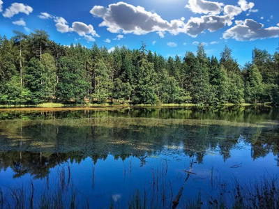 Bild 7 aus  Waldbachhof