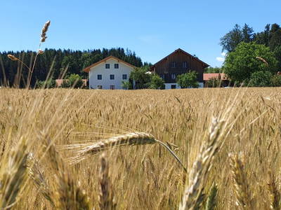 Bild 4 aus  Beim Lenglacher