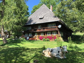 Griesbachhof - Ferienhaus am Griesbachhof im Sommer