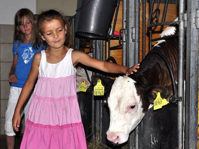 Bild 22 aus  Ferienhof Hitzelberger