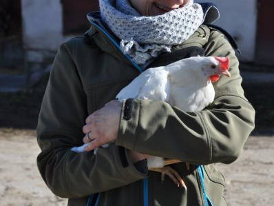 Bild 20 aus  Ferienhof Rauert