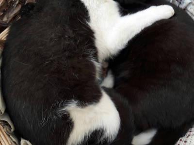 Bild 35 aus  LandSelection Grieshof