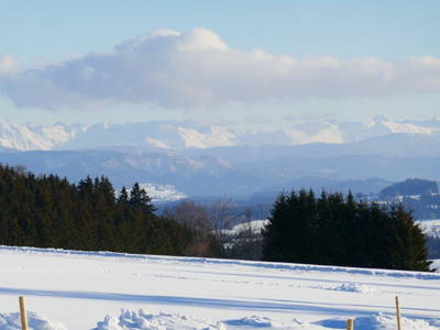 Bild 102 aus  Allgäu Bergferienhof