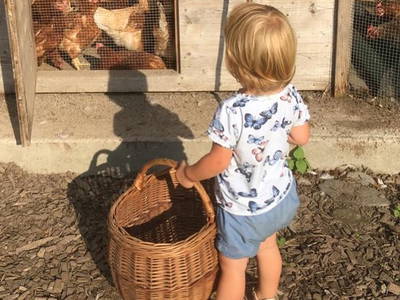 Bild 17 aus  Gästehaus Nassfeld - kleines und persönliches Landhaus
