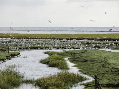 Bild 12 aus  Landhaus Huus Uelvesbüll