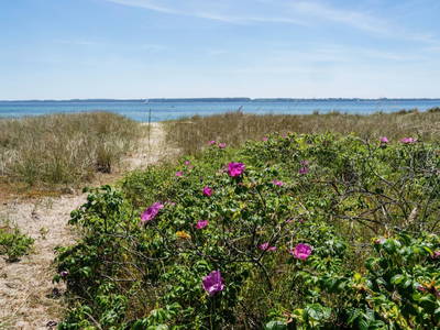 Bild 14 aus  Gut Ludwigsburg