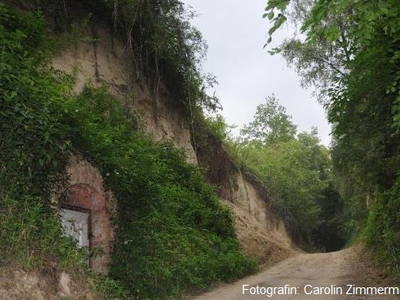 Bild 12 aus  Winzerhof