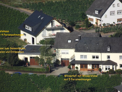 Bild 4 aus  Weingut Winnebeck inmitten der Weinberge