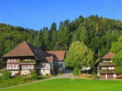 Bild 2 aus  Vogtbenedikthof im Schwarzwald