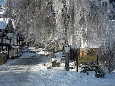 Bild 21 aus  Ferienhof Heute Mühle